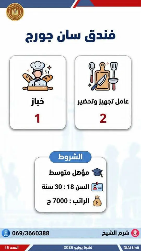 4504 فرصة عمل في 77 شركة بـ14 محافظة.. إليك التفاصيل - 1000650761