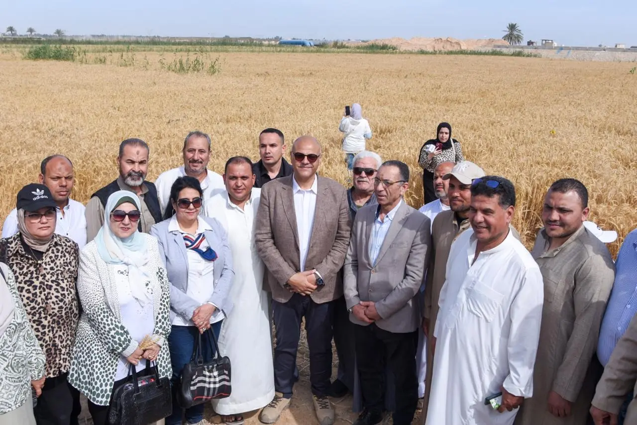 محافظ الإسكندرية يشهد "احتفالية حصاد القمح ٢٠٢٦"