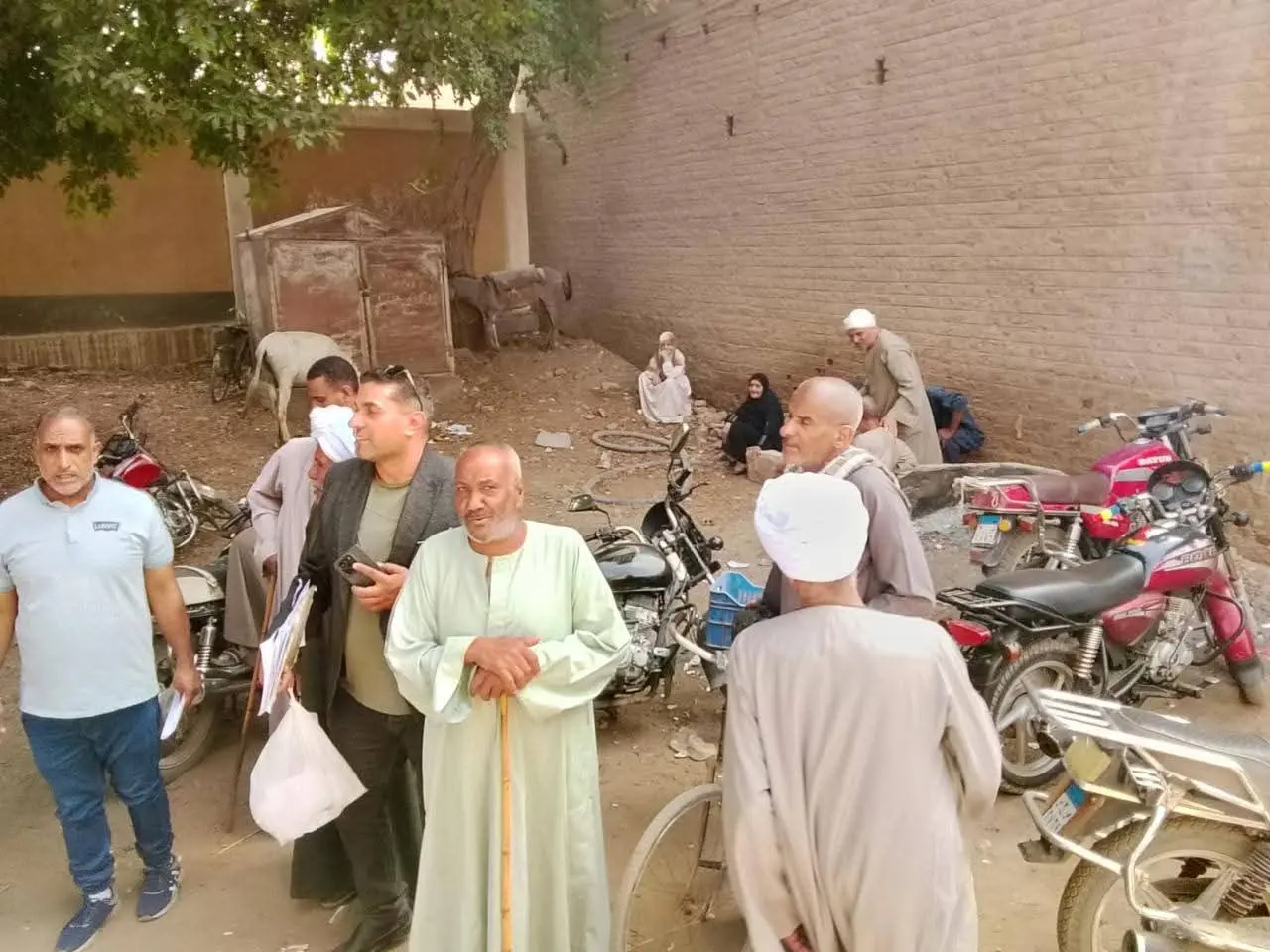 "الزراعة" تتابع عمليات توزيع الأسمدة المدعمة وتؤكد: المنظومة تعمل بكامل طاقتها ولا زيادة في الأسعار - 1000654355
