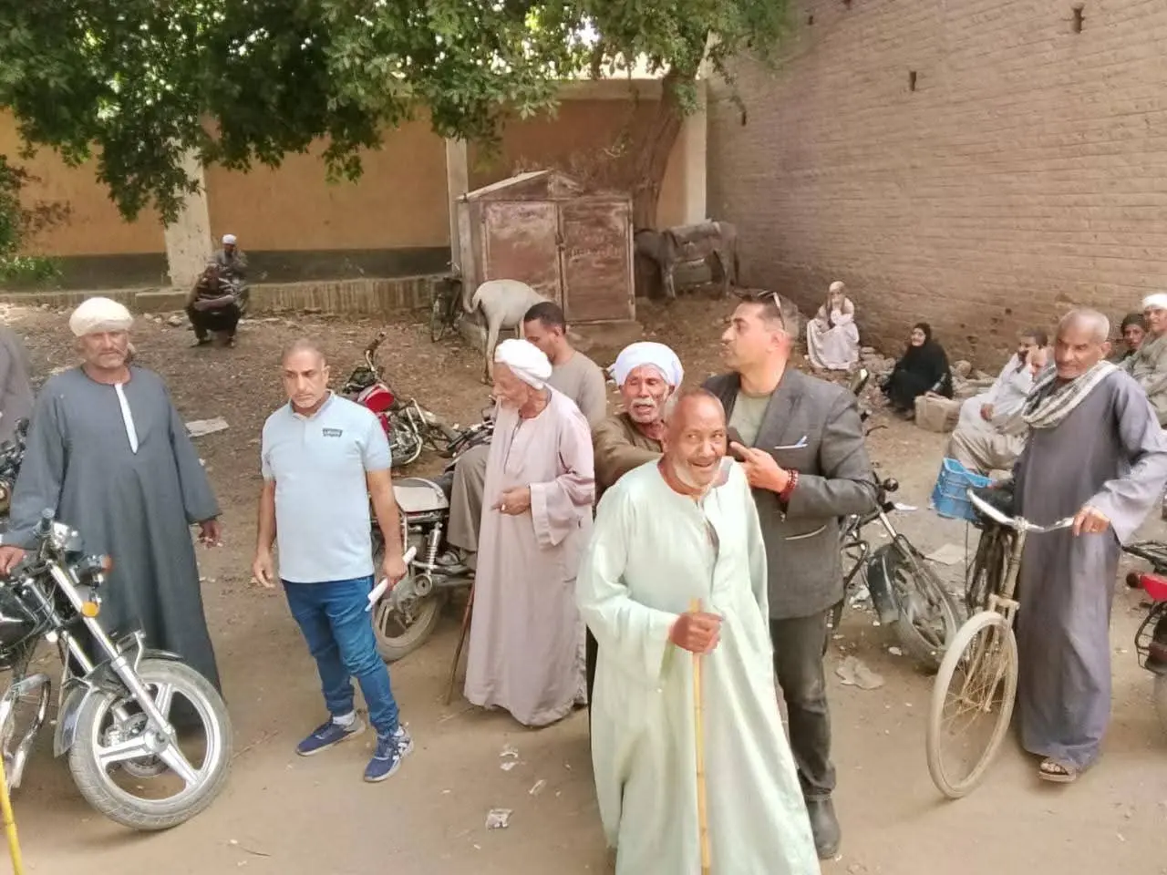 "الزراعة" تتابع عمليات توزيع الأسمدة المدعمة وتؤكد: المنظومة تعمل بكامل طاقتها ولا زيادة في الأسعار - 1000654359