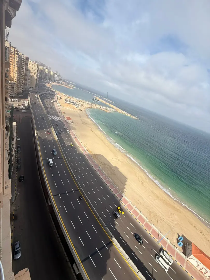 الإسكندرية تستعد لفصل الصيف.. الانتهاء من أعمال التخطيط الأرضي بطريق الكورنيش وإشارات عبور المشاة - 1000655148