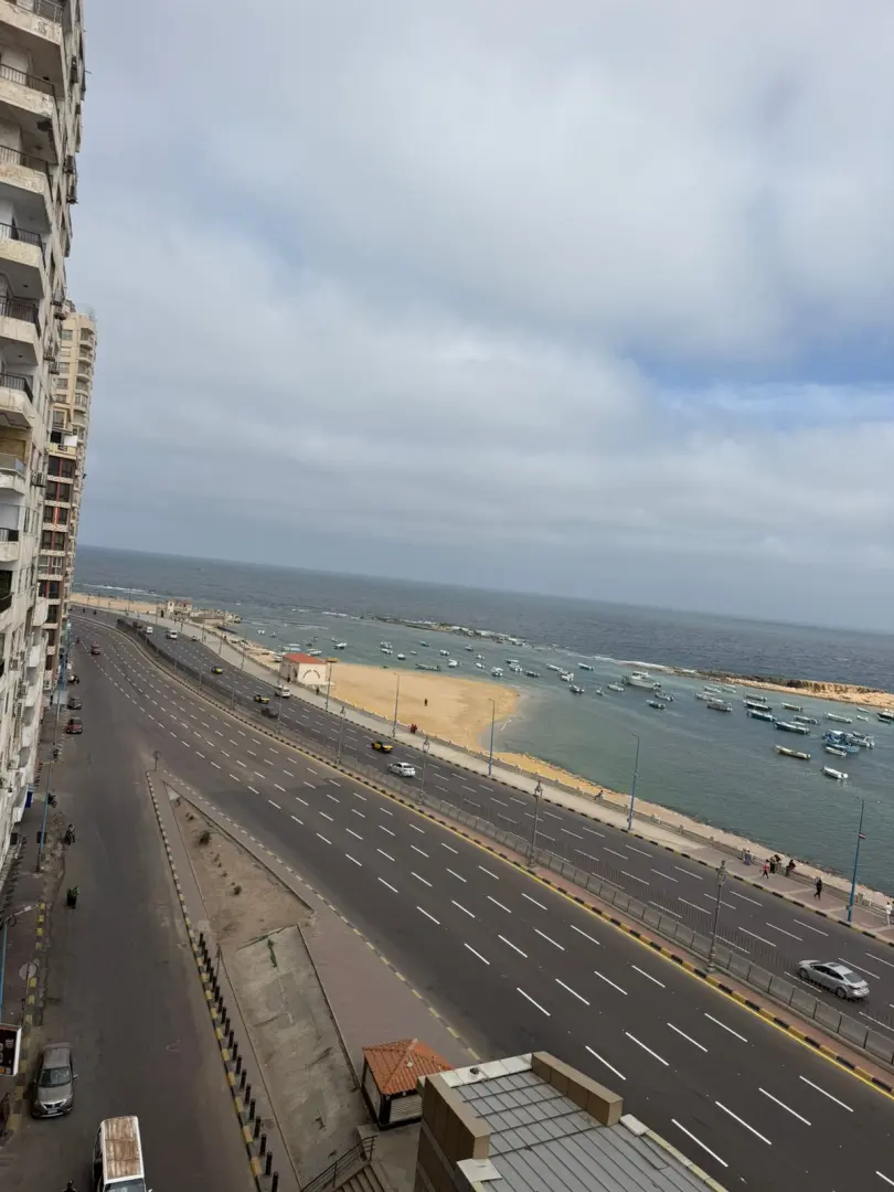 الإسكندرية تستعد لفصل الصيف.. الانتهاء من أعمال التخطيط الأرضي بطريق الكورنيش وإشارات عبور المشاة - 1000655175