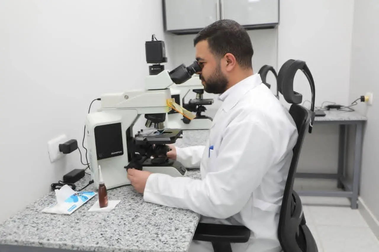 الزراعة: فحص 970 ألف طن بطاطس مُعدة للتصدير وتعزيز الرقابة بالأقمار الصناعية - 1000655176