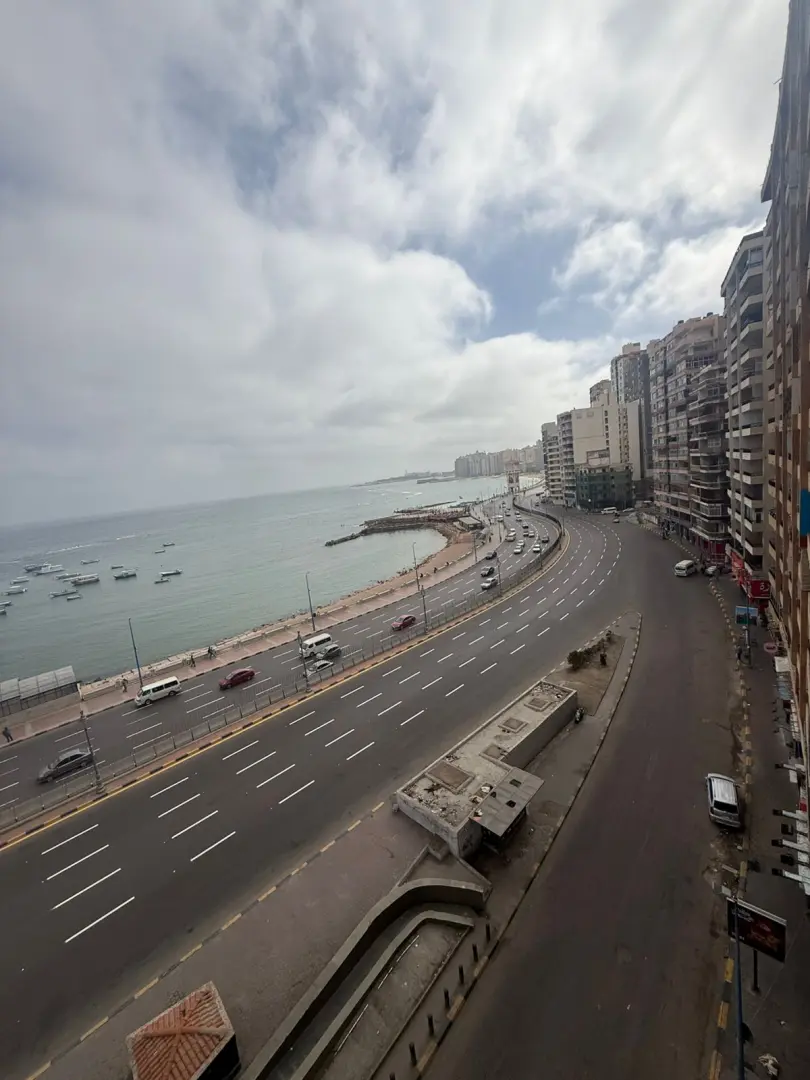 الإسكندرية تستعد لفصل الصيف.. الانتهاء من أعمال التخطيط الأرضي بطريق الكورنيش وإشارات عبور المشاة - 1000655181