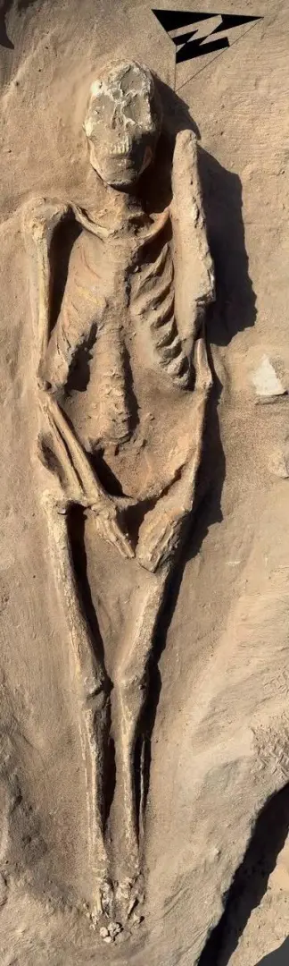 تل كوم عزيزة يبوح بأسراره.. اكتشاف جبانة أثرية توثق تطور طقوس الدفن عبر العصور - 1000656818 1