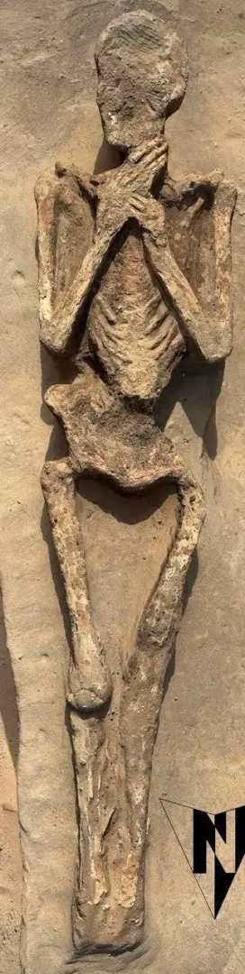 تل كوم عزيزة يبوح بأسراره.. اكتشاف جبانة أثرية توثق تطور طقوس الدفن عبر العصور - 1000656823 1