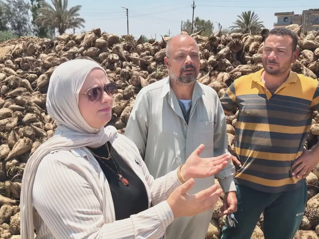 استجابة عاجلة لمزارعي البنجر بالدقهلية بعد نشر استغاثتهم على “الخبر لايف”