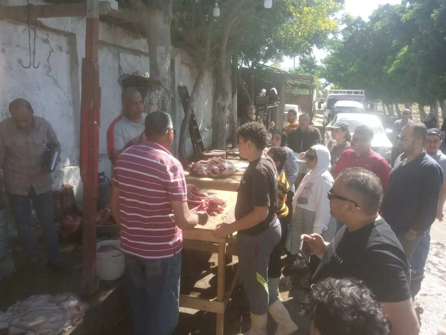 محافظة الإسكندرية تكثف حملاتها الرقابية قبل عيد الأضحى: إعدام 176 كجم أغذية غير صالحة وتحصيل أكثر من 714 ألف جنيه غرامات - 1000664665