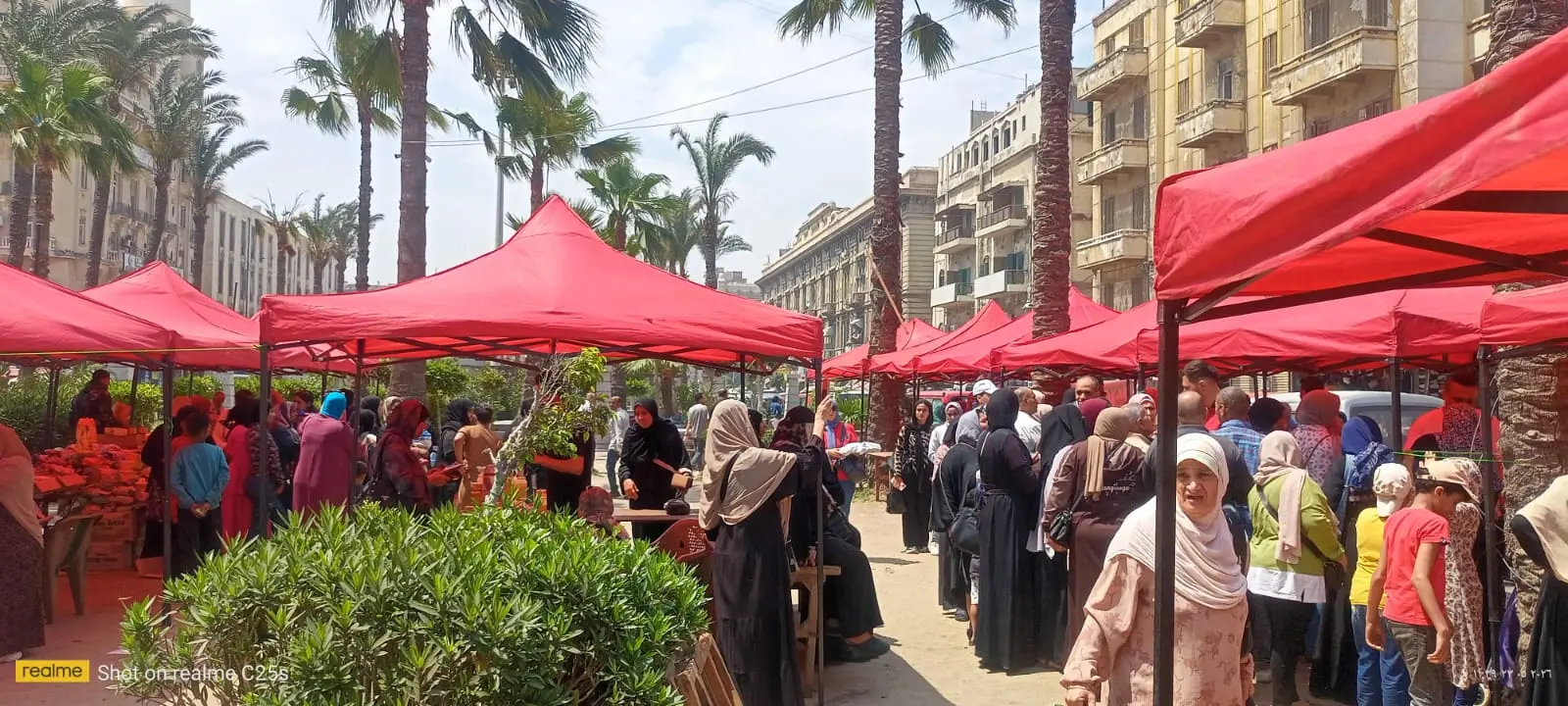 محافظة الإسكندرية تُكثّف إقامة أسواق اليوم الواحد بالمناطق المختلفة لتوفير السلع للمواطنين استعدادًا لعيد الأضحى المبارك - 1000665123