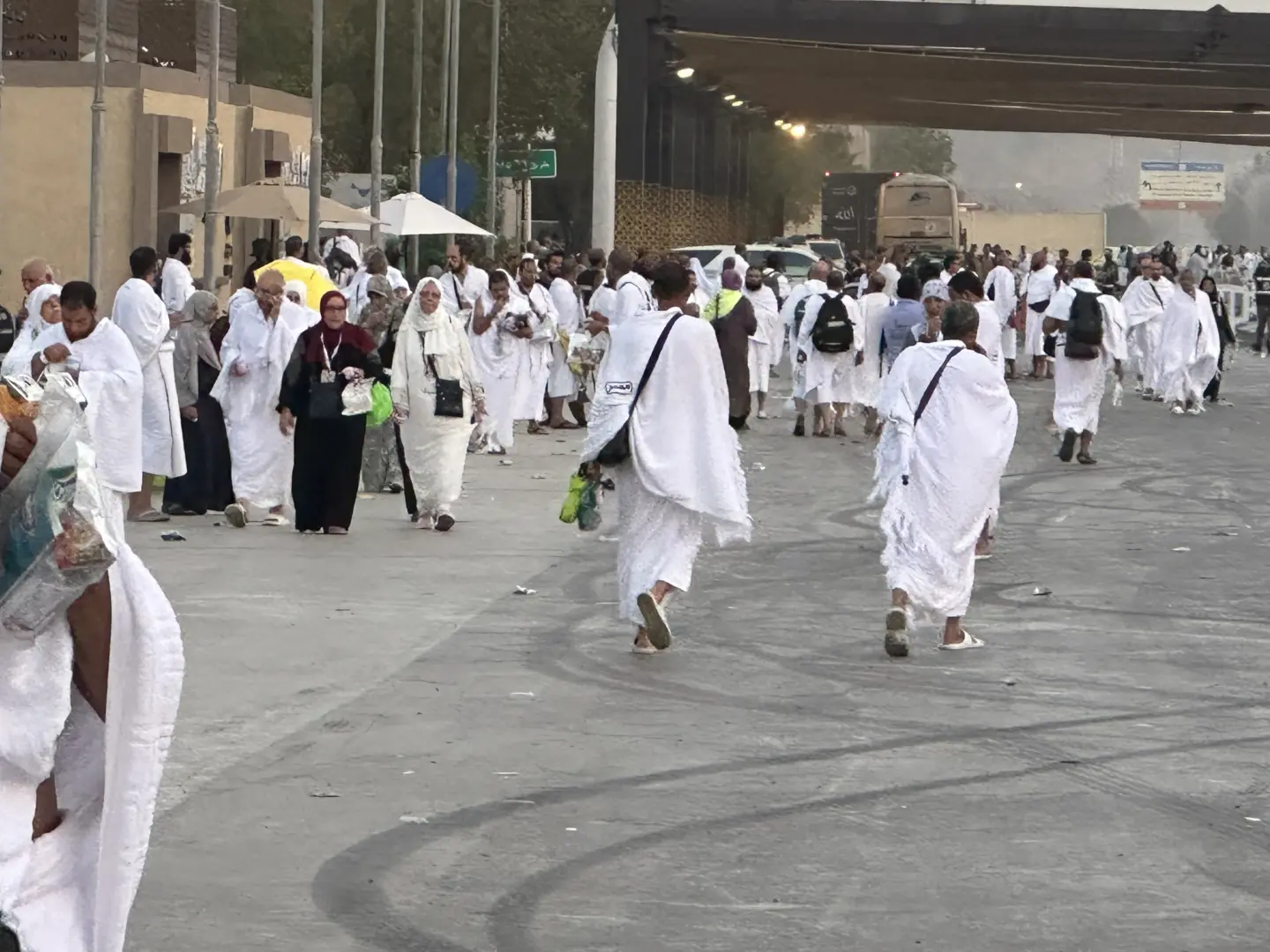 فى أجواء روحانية بعرفات.. حجاج القرعة: الدولة وفرت لنا رحلة حج استثنائية - 1000669395