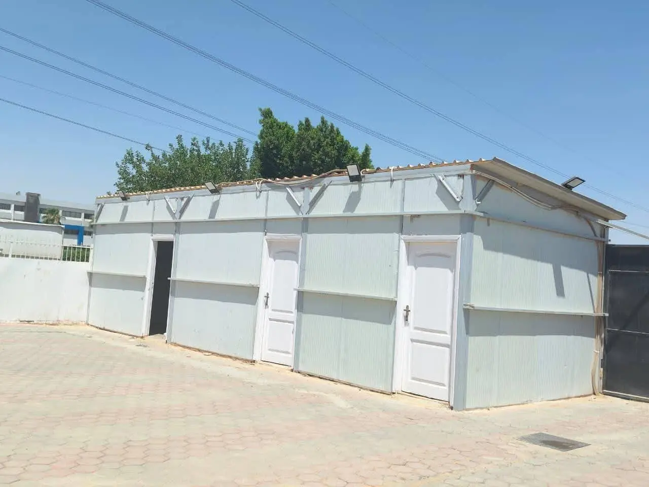 تفاصيل خطة الإسكان لمواجهة الكلاب الضالة