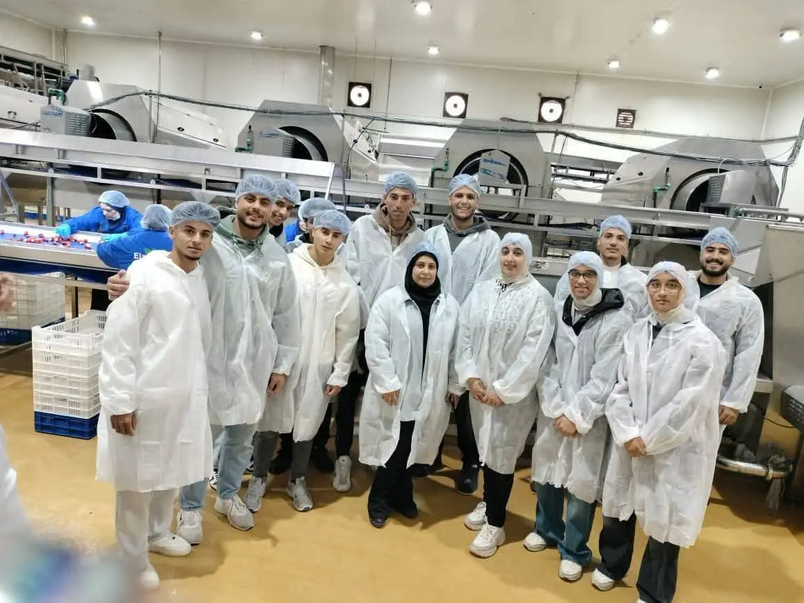 الجامعات التكنولوجية