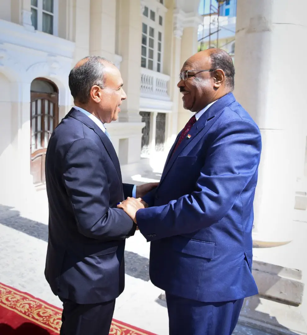 وزير الخارجية يجدد رفض مصر إنشاء كيانات موازية داخل السودان
