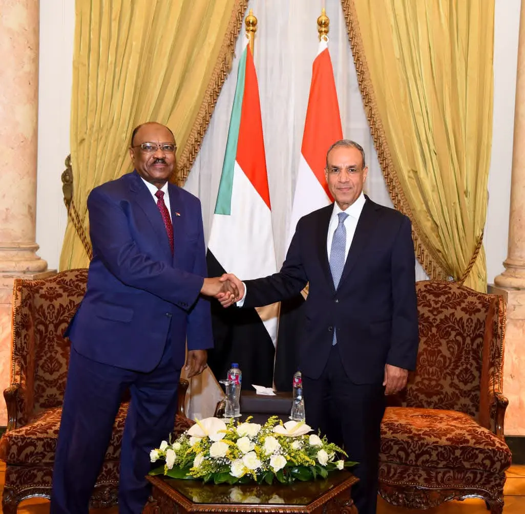 وزير الخارجية يجدد رفض مصر إنشاء كيانات موازية داخل السودان