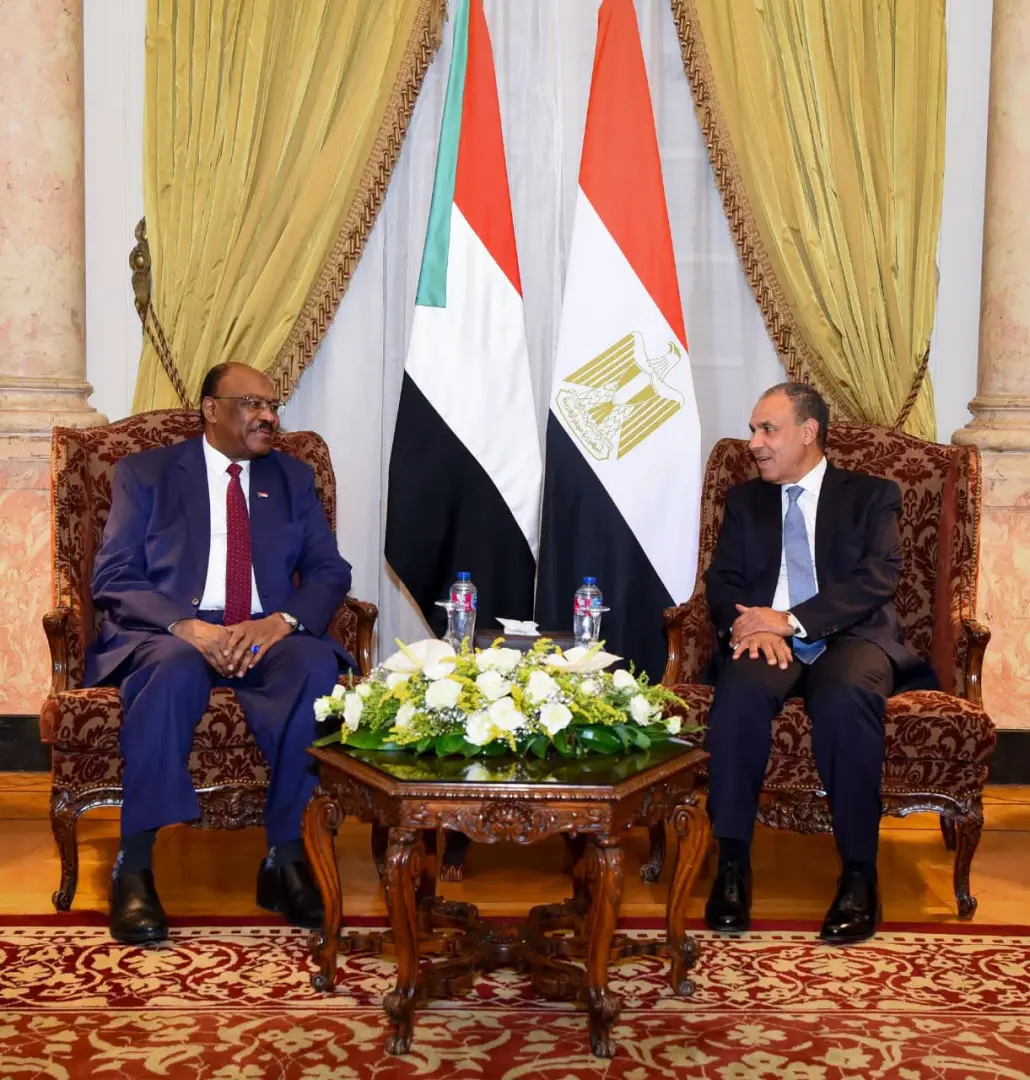 وزير الخارجية يجدد رفض مصر إنشاء كيانات موازية داخل السودان