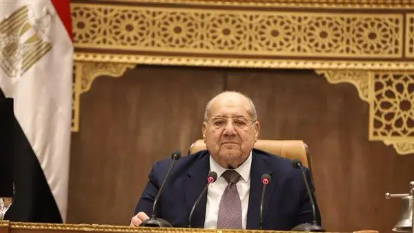 حزب مستقبل وطن