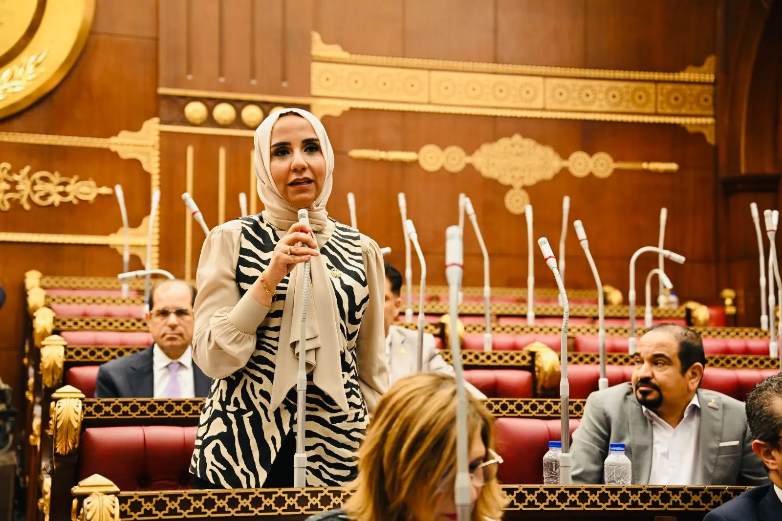 ولاء هرماس: دور الانعقاد الأول بمجلس الشيوخ شهد أداءً برلمانياً مميزاً