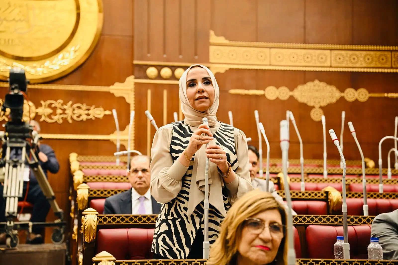 ولاء هرماس: دور الانعقاد الأول بمجلس الشيوخ شهد أداءً برلمانياً مميزاً