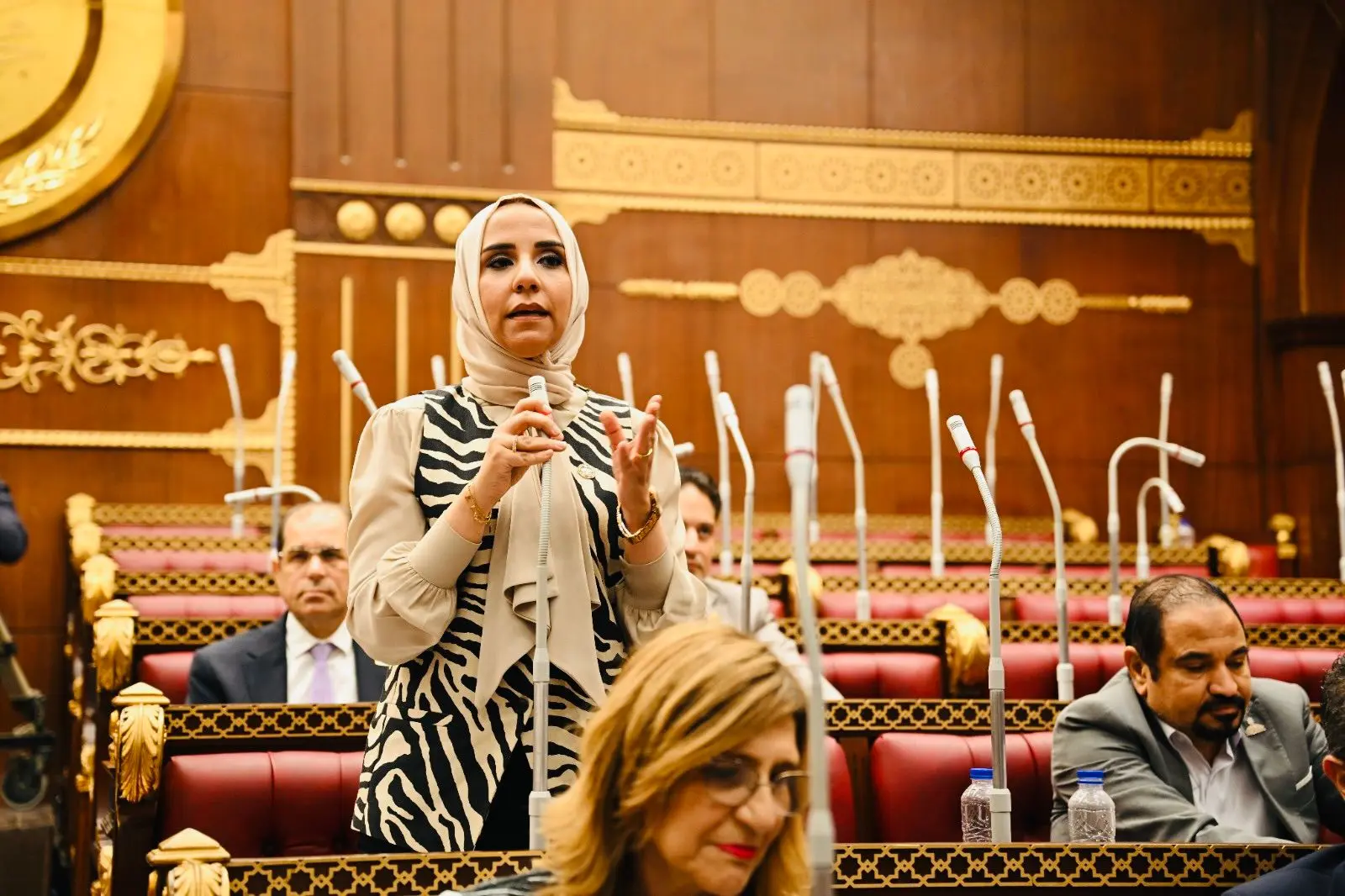 ولاء هرماس: دور الانعقاد الأول بمجلس الشيوخ شهد أداءً برلمانياً مميزاً