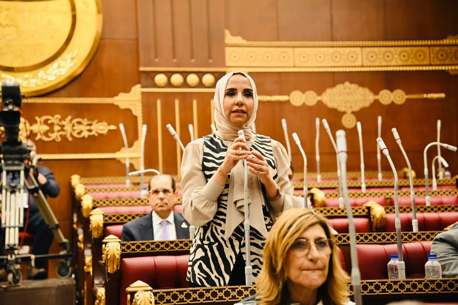ولاء هرماس: دور الانعقاد الأول بمجلس الشيوخ شهد أداءً برلمانياً مميزاً