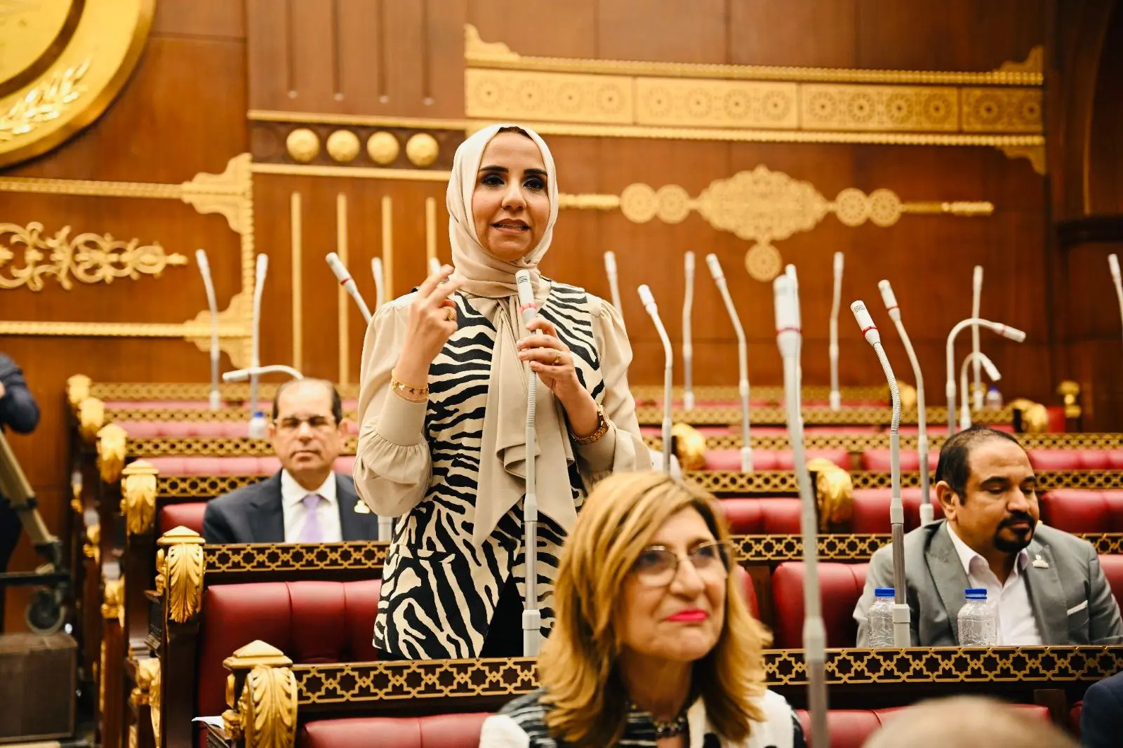 ولاء هرماس: دور الانعقاد الأول بمجلس الشيوخ شهد أداءً برلمانياً مميزاً
