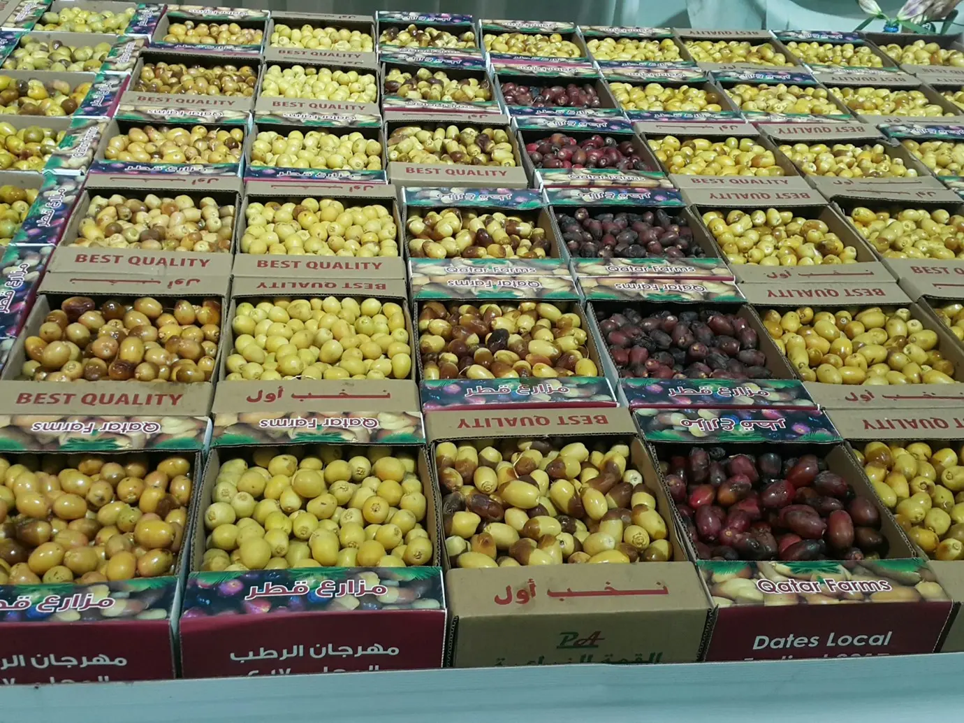  "بشائر الرطب " تغزو أسواق قطر