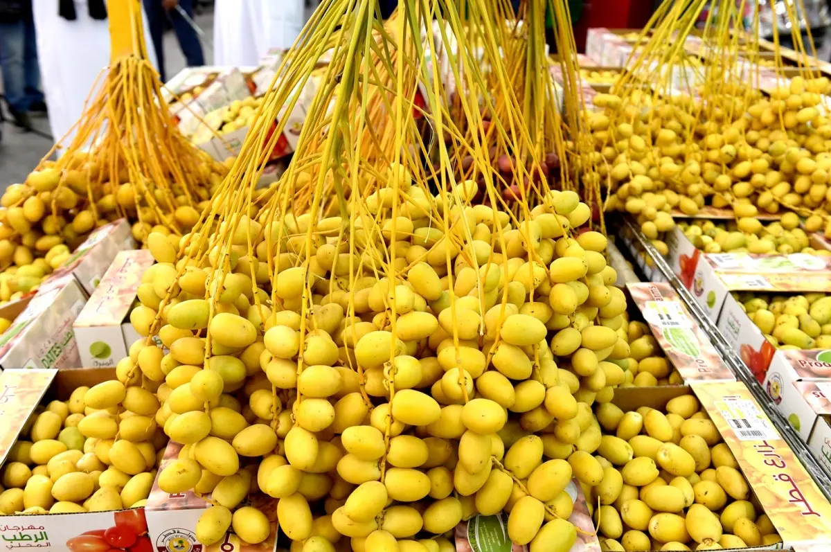  "بشائر الرطب " تغزو أسواق قطر