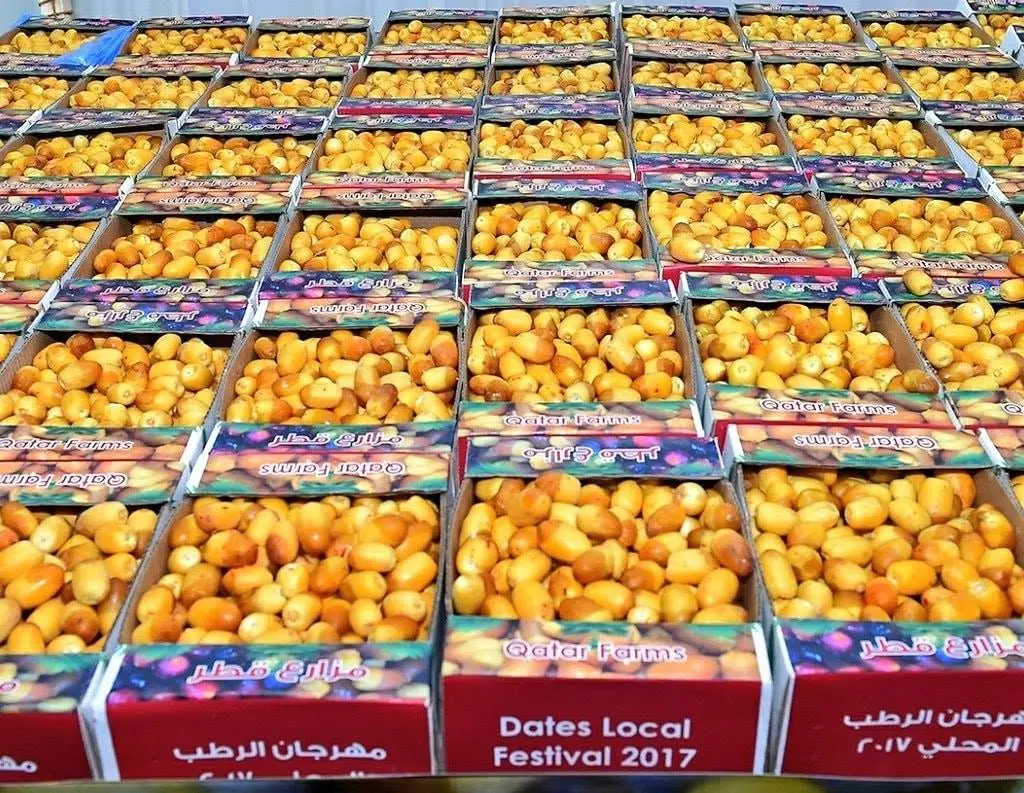 تفاؤل كبير بوفرة الإنتاج.. "بشائر الرطب " تغزو أسواق قطر