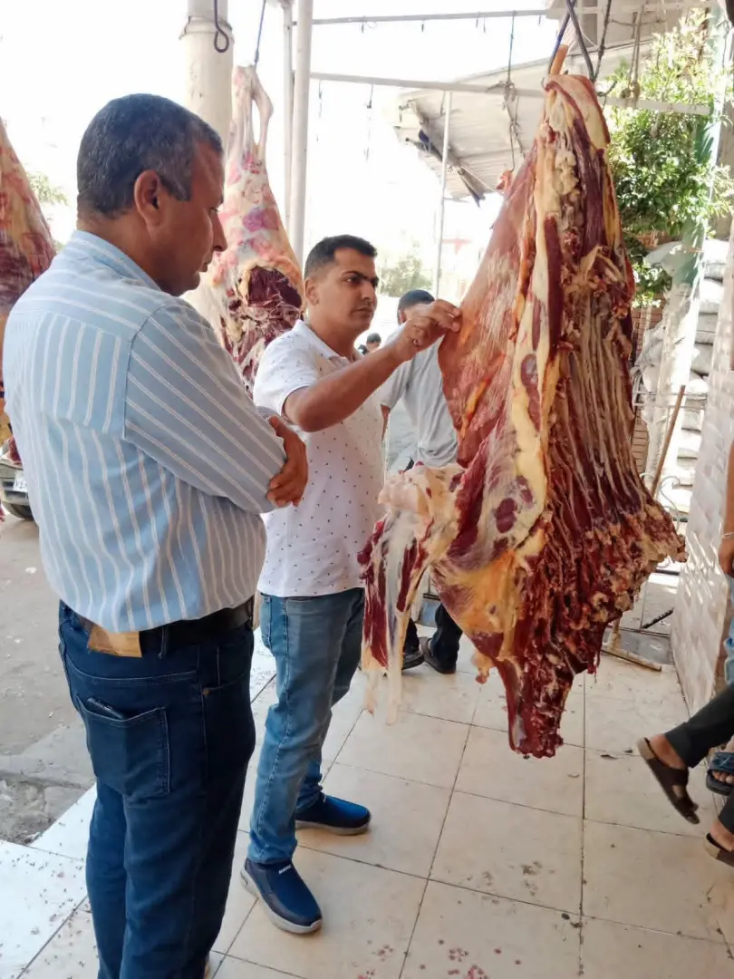 تحرير 343 محضرًا وضبط 5 أطنان ذرة مجهولة المصدر خلال حملات تموينية مكثفة بالمنوفية - 1000716686