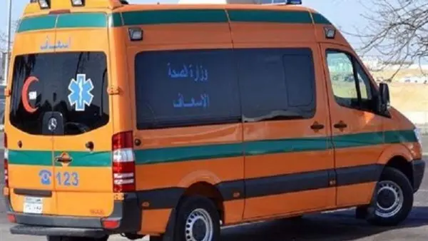 لقي شخص مصرعه، فيما أُصيب 4 آخرون، اليوم، إثر انقلاب سيارة واشتعال النيران بها بالكامل، على الطريق أمام سيرك كيميت بمنطقة مارينا 7 بالساحل الشمالي، وتم نقل المصابين إلى المستشفى لتلقي العلاج