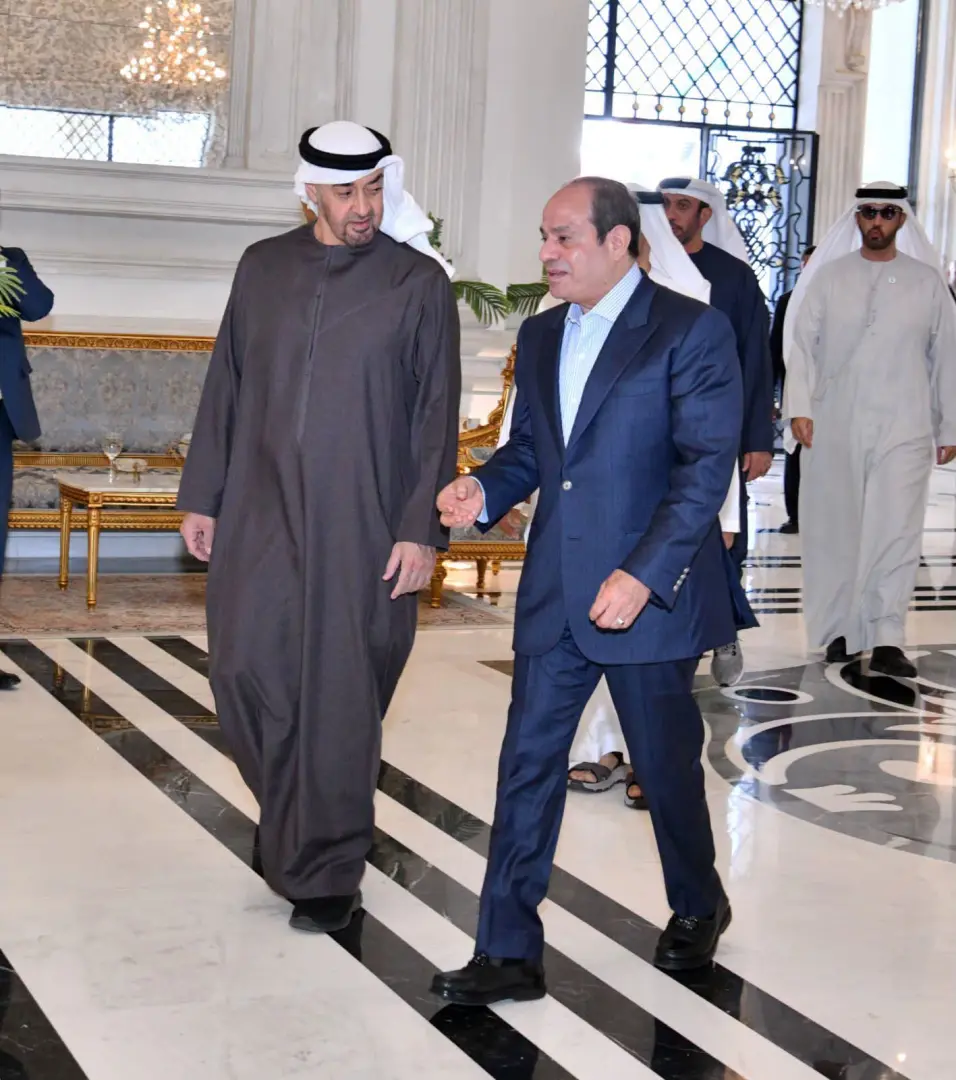 مباحثات مصرية إماراتية حول العلاقات الثنائية وتطورات المنطقة