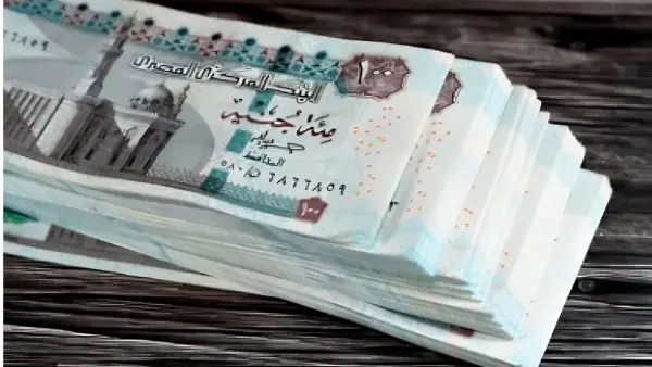 تصدرت منحة العمالة غير المنتظمة لعام 2026 اهتمامات المواطنين والشارع المصري خلال الساعات الأخيرة، وذلك بالتزامن مع إعلان وزارة العمل رسمياً عن بدء عمليات الصرف للدفعتين الثانية والثالثة من المنحة الاستثنائية المخصصة للمستحقين.