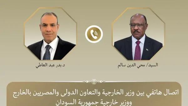وزير الخارجية يؤكد لنظيره السوداني موقف مصر الداعم لوحدة السودان