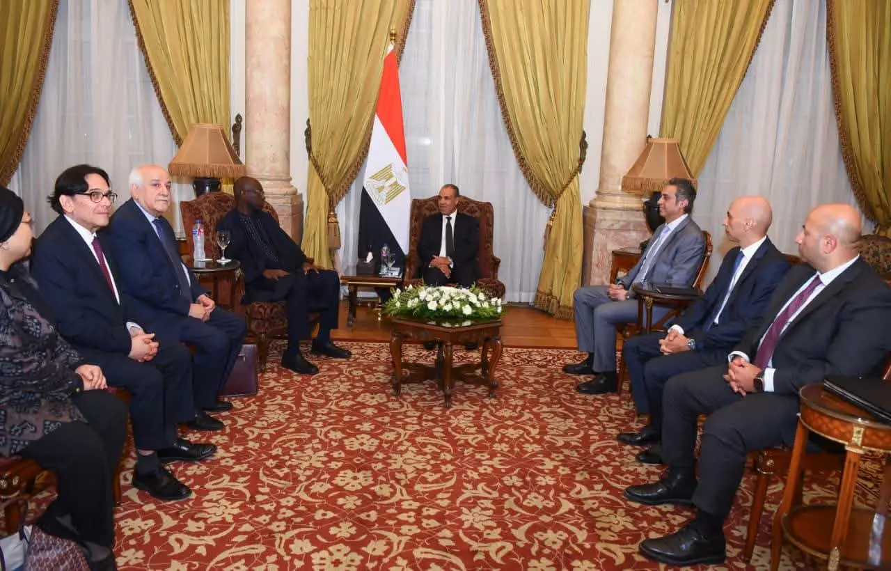 لجنة أممية تشيد بالدور المصري في الدفاع عن القضية الفلسطينية