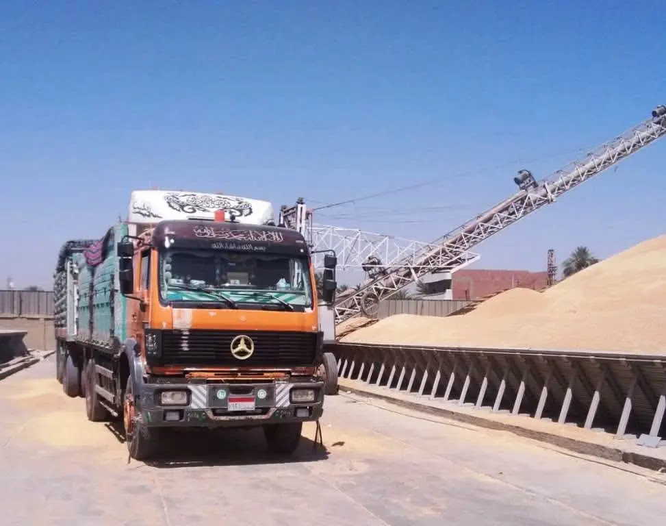 الذهب الأصفر يملأ صوامع أسوان.. توريد 531 ألف طن قمح حتى الآن