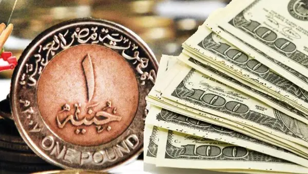 شهد سعر الدولار اليوم السبت 1-8-2026 حالة من الاستقرار الملحوظ أمام الجنيه المصري في مستهل التعاملات، مستمرًا على نفس مستويات إغلاق تعاملات يوم الخميس الماضي. وتزامن هذا الثبات مع العطلة الأسبوعية الرسمية في القطاع المصرفي المصري، حيث أوقف البنك المركزي المصري والبنوك الحكومية والخاصة أعمالهم يومي الجمعة والسبت.