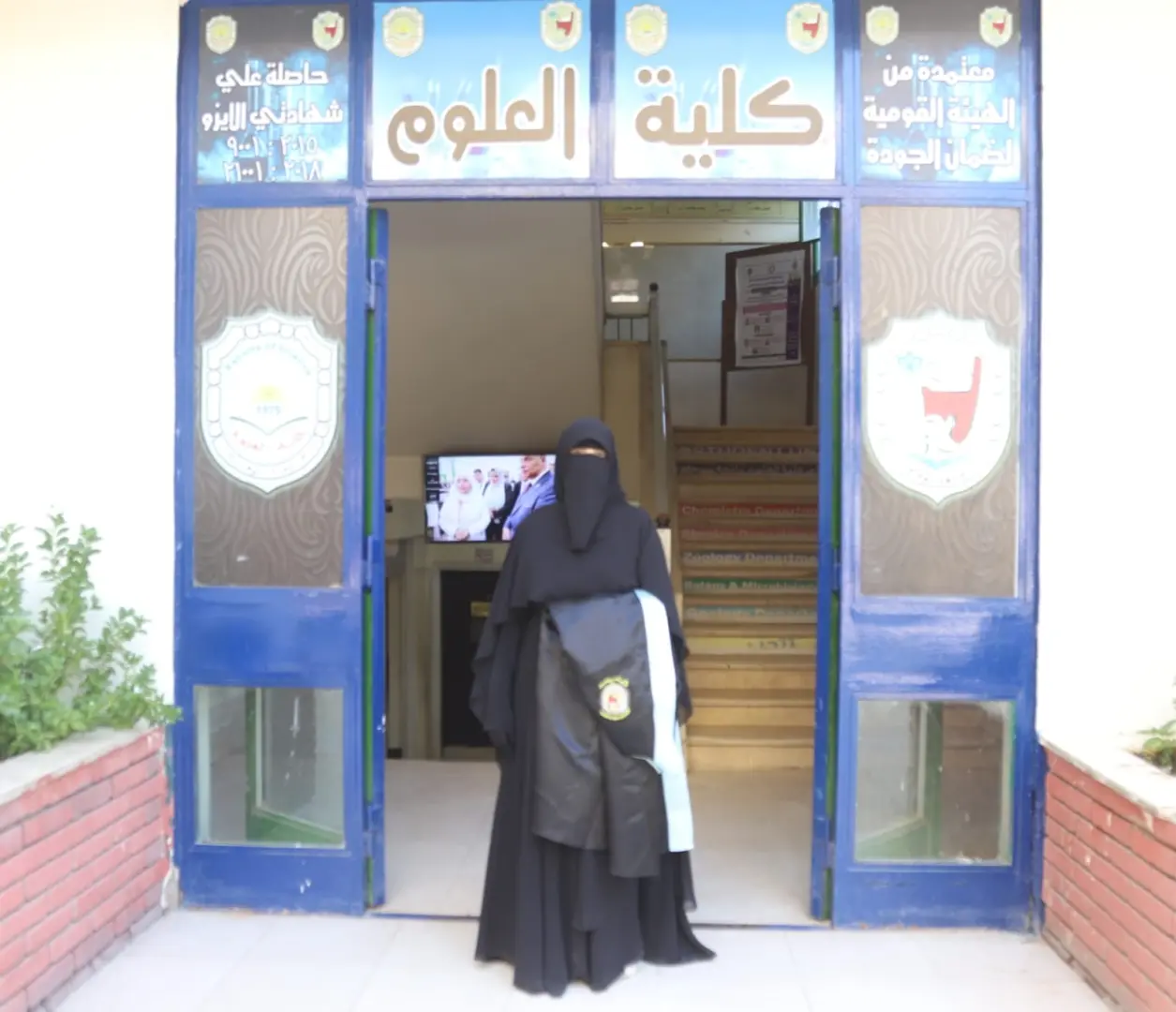 نتائج واعدة.. رسالة ماجستير بجامعة سوهاج تؤكد كفاءة المورينجا في حماية الكبد