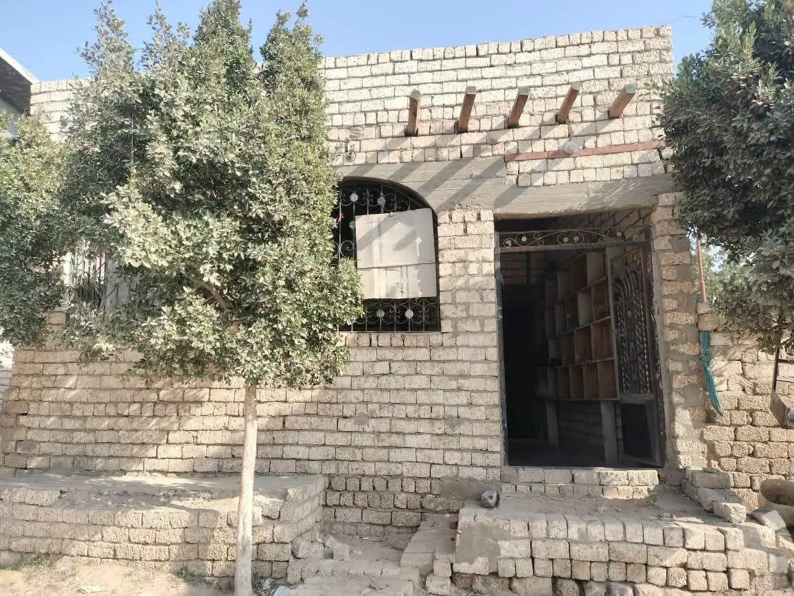 المنيا