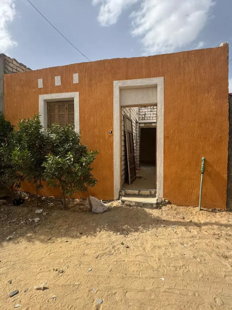 المنيا
