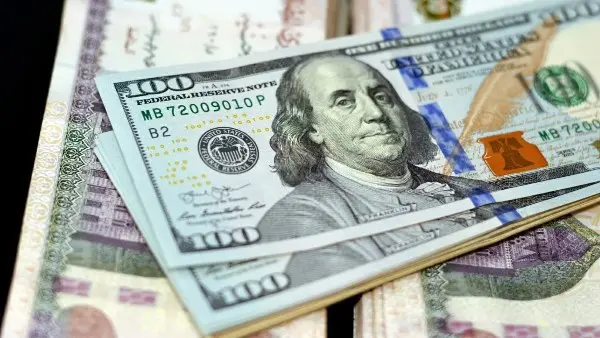 استقرار أسعار الدولار مقابل الجنيه المصري في مستهل تعاملات اليوم الأربعاء 12 أغسطس