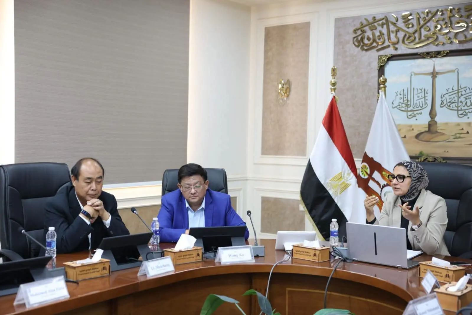 الوادي الجديد