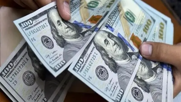 استقرار أسعار الدولار اليوم الأربعاء 26 أغسطس 2026 في البنوك المصرية