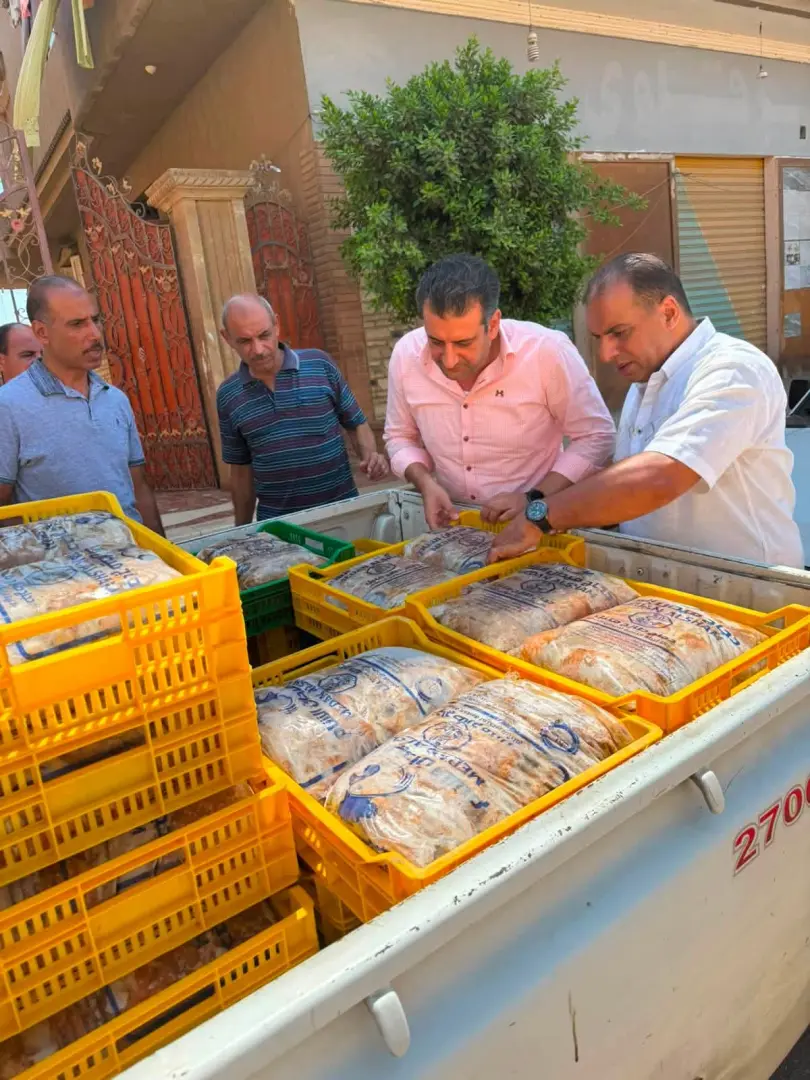 ضبط 3.75 طن دواجن فاسدة قبل طرحها بالأسواق في الغربية