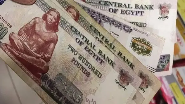 انطلاق صرف دعم "تكافل وكرامة" لشهر سبتمبر 2026: التفاصيل وشروط الاستحقاق ومخطط الاستعلام