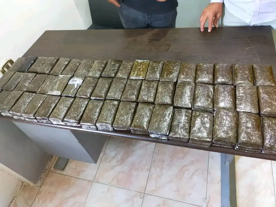 جمارك نويبع تحبط تهريب 280 فرش حشيش داخل شاحنة متجهة إلى ميناء العقبة