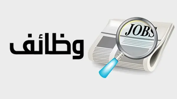 وظائف التضامن الاجتماعي 2026.. الشروط والأوراق وموعد التقديم