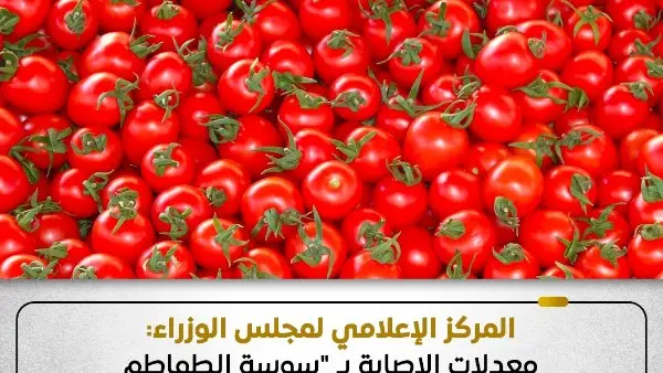 نشر المركز الإعلامي لمجلس الوزراء بيانًا عبر منصاته على مواقع التواصل الاجتماعي، أوضح خلاله حقيقة ما تردد من مزاعم حول إصابة 70% من محصول الطماطم المعروض بالأسواق بحشرة "التوتا أبسلوتا" المعروفة باسم آفة "سوسة الطماطم".