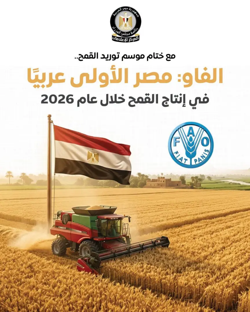 الفاو: مصر الأولى عربيًا في إنتاج القمح خلال 2026 بإنتاج يتجاوز 10 ملايين طن