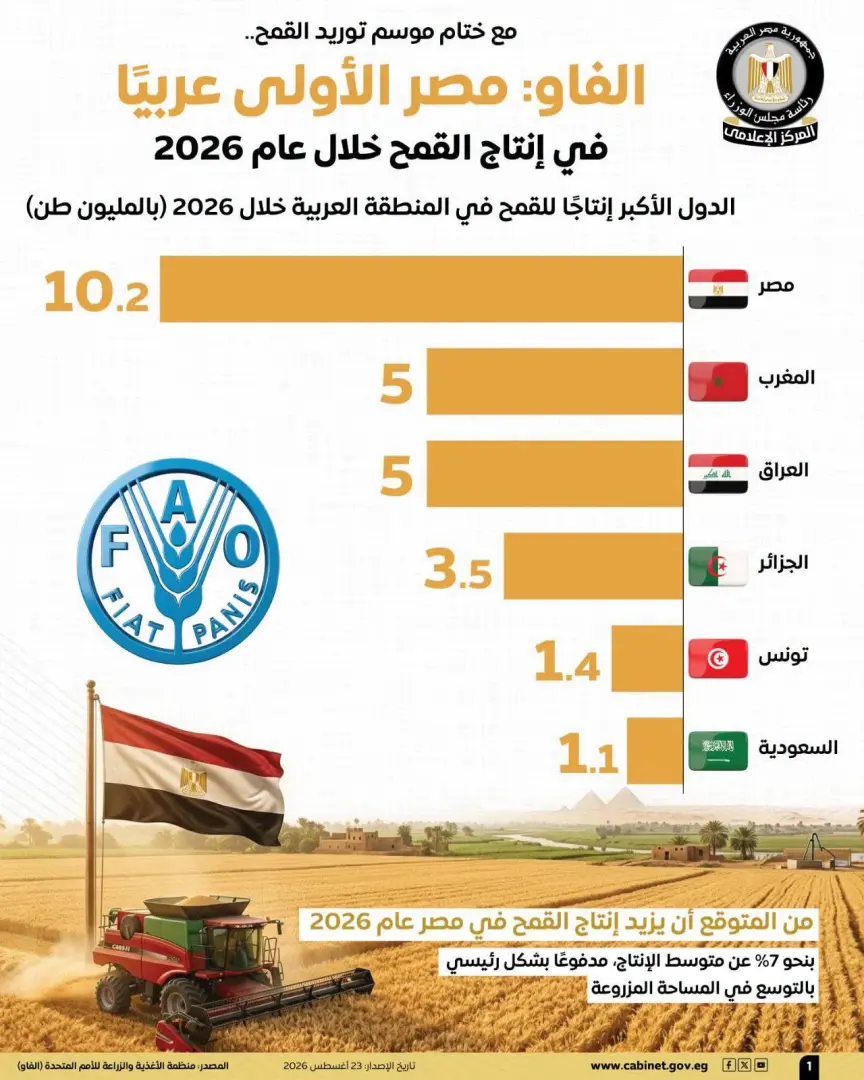 الفاو: مصر الأولى عربيًا في إنتاج القمح خلال 2026 بإنتاج يتجاوز 10 ملايين طن