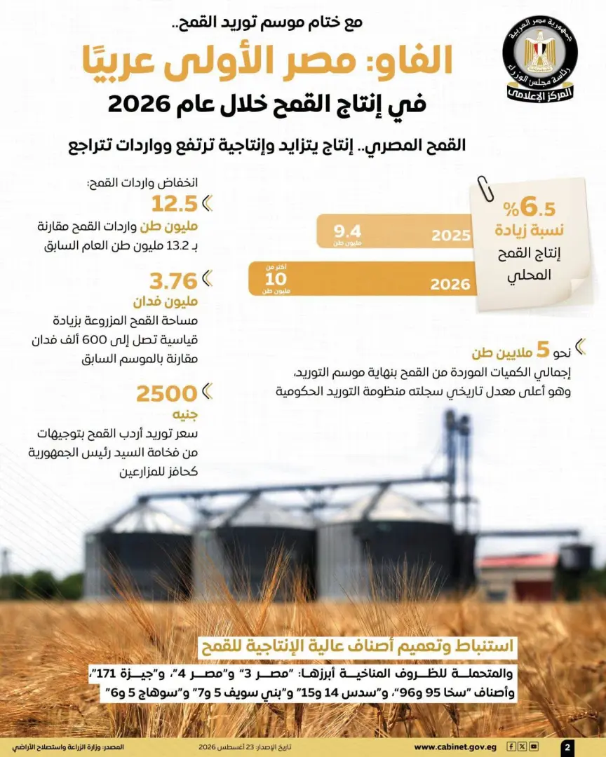 الفاو: مصر الأولى عربيًا في إنتاج القمح خلال 2026 بإنتاج يتجاوز 10 ملايين طن
